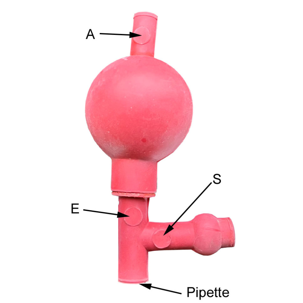 <p>Pipet bulb </p>