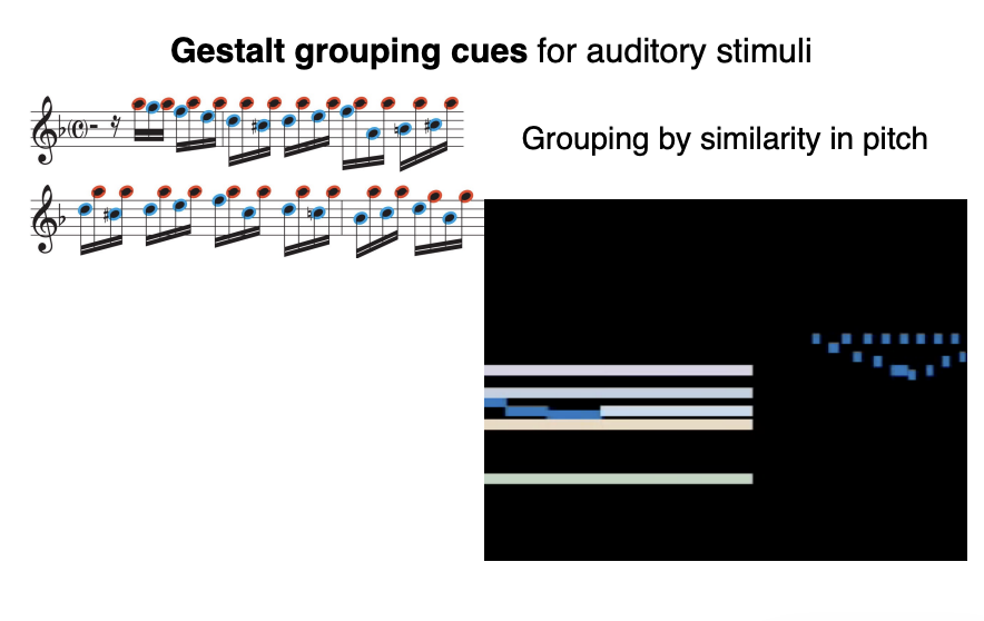 <ul><li><p>Grouping by similarity in pitch</p></li><li><p>Group higher frequencies together &amp; lower frequencies together</p></li></ul><p></p>