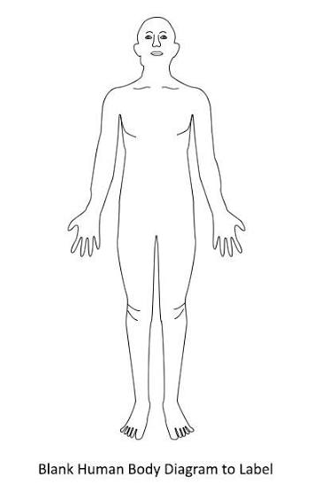 <p>anterior</p>