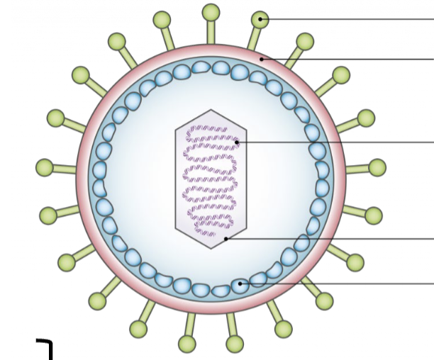 <p>label HSV structure from top to bottom</p>
