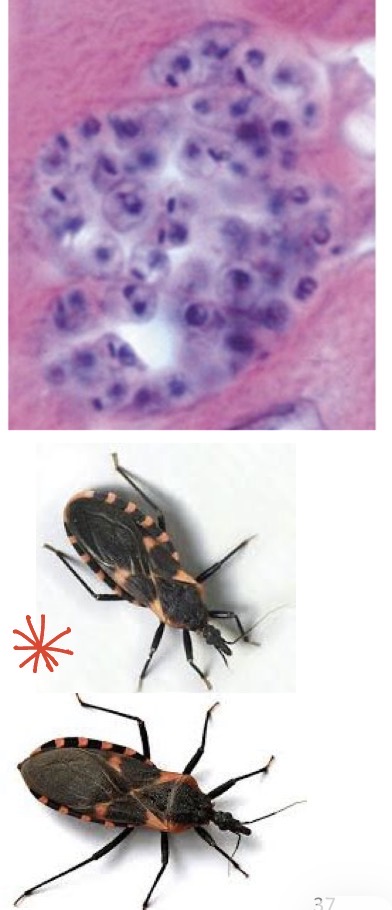 <p>What is this?</p>
