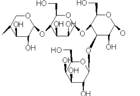 <p>______ is a branch-style component made up of xylose, mannose, glucose, and galactose.</p>