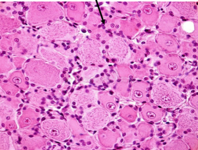 <p>Slide 33</p>