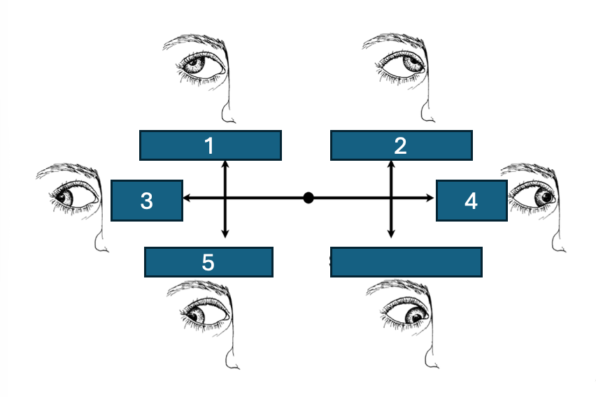 <ul><li><p>what cranial nerve supplies</p></li></ul><p></p>