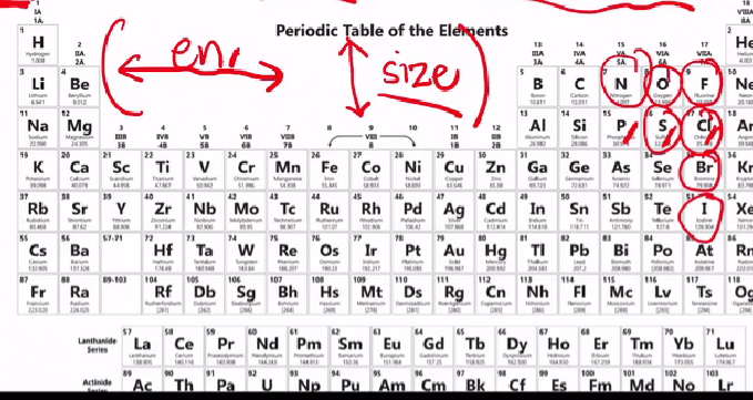 <p>[ACIDS AND BASES]</p><p>Acidity increases from ______ by virtue of atomic size because the electrons are more scattered in larger atoms (which means<strong> less repulsions</strong>, thus, <strong>more stable</strong>).</p><p>Example: <br></p><ul><li><p>HI > HBr > HCl > HF</p></li></ul><ul><li><p>H<sub>2</sub>​S > H<sub>2​</sub>O</p></li></ul><p>a. top to bottom</p><p>b. bottom to top</p>