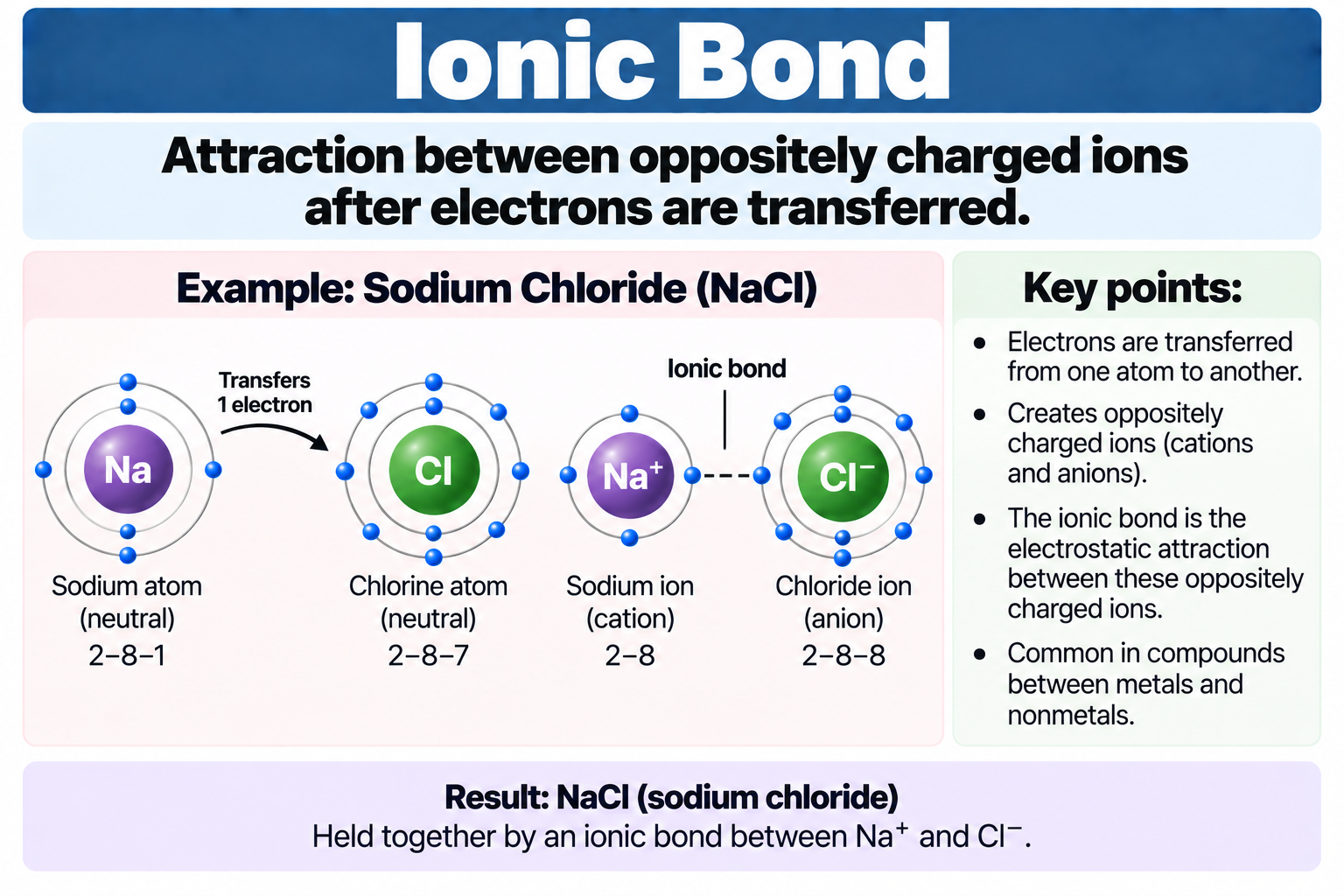 <p>Attraction between oppositely charged ions after electrons are transferred</p>