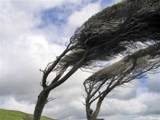 <p>merciless iced east winds that knive </p><p>us...</p>