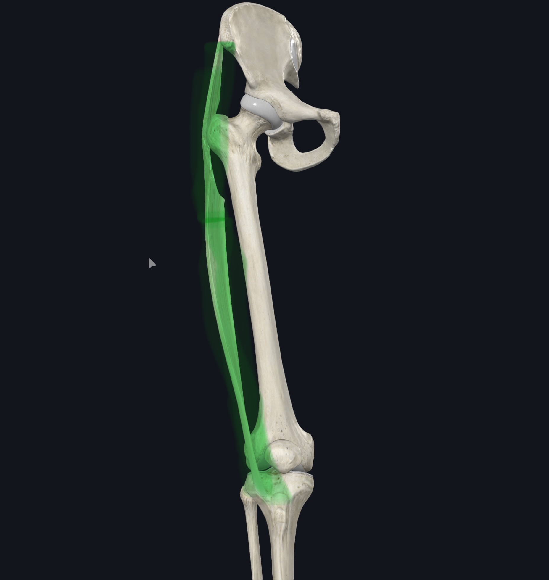 <p>¿Qué es esto?</p>