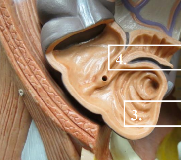 <p>Label this image.</p>