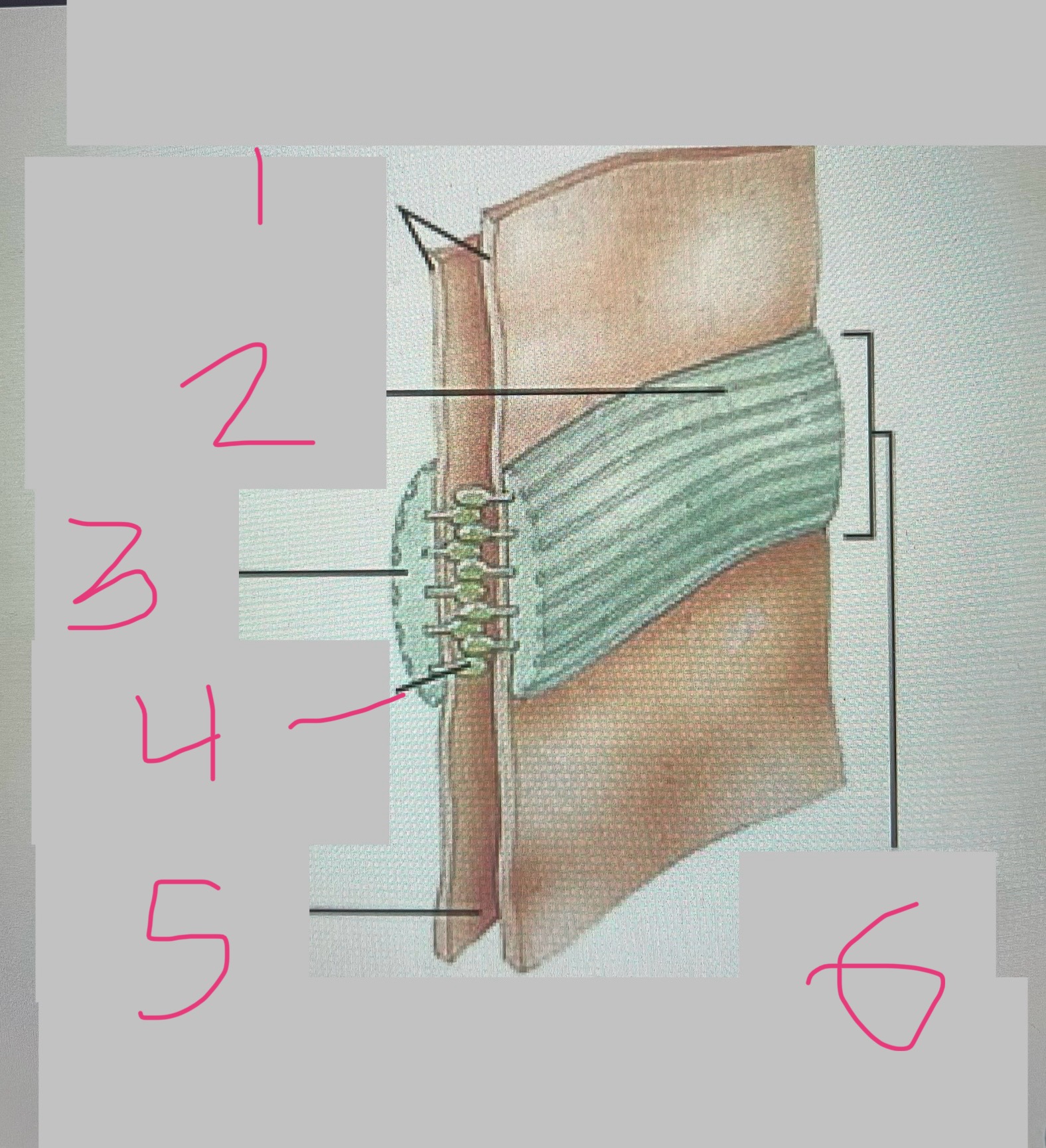 <p>type of junction and name numbers</p>