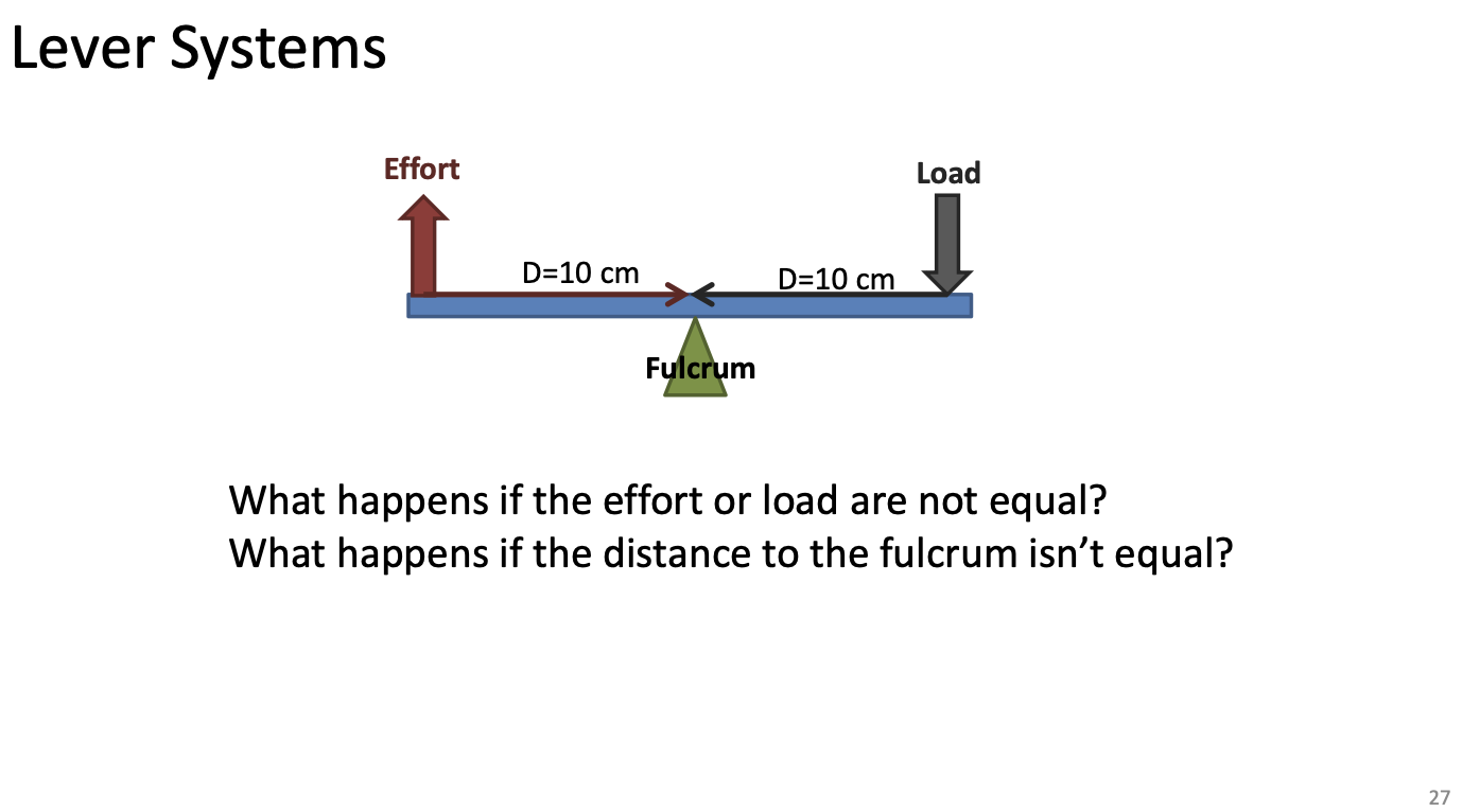 <ul><li><p>Longer effort arm = if the effort arm is longer than the load arm, the effort is smaller</p></li><li><p>Longer load arm = if the load is further from the fulcrum than the effort, you must apply greater force</p></li></ul><p></p>