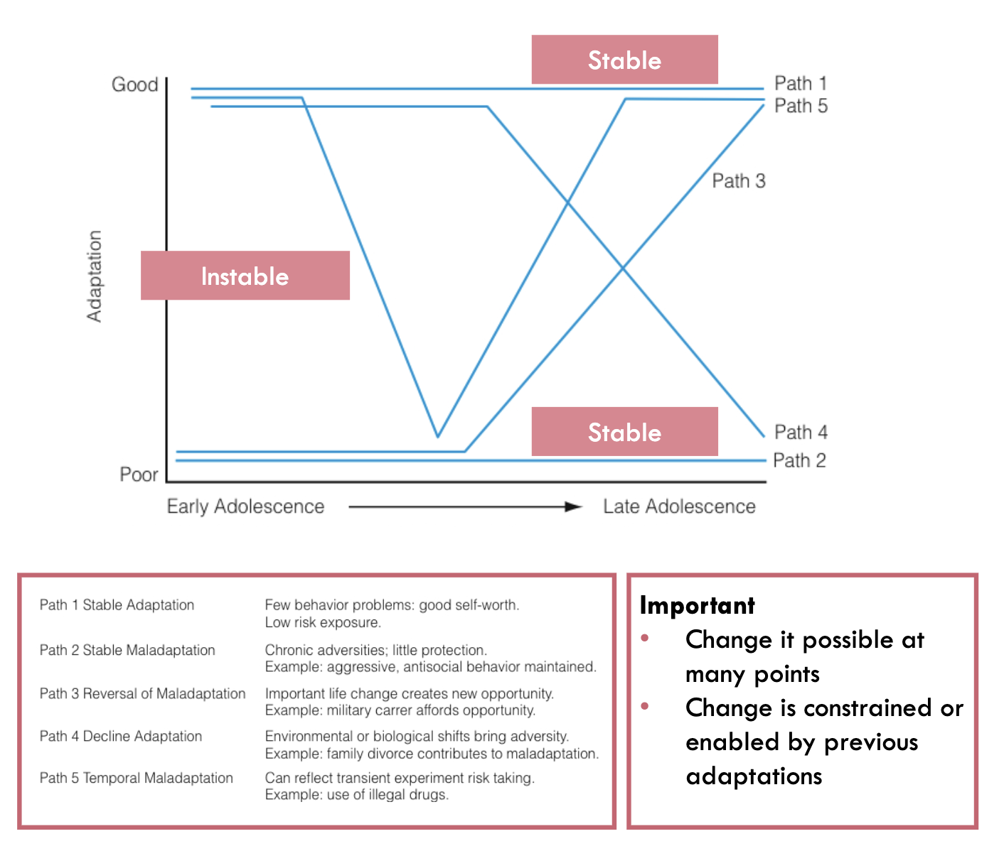 <ul><li><p><mark data-color="red" style="background-color: red; color: inherit;">Adjustment and maladjustment</mark> are points or places along a lifelong map</p></li><li><p>Some pathways are associated with psychopathology with high probability, others with low probability</p><ul><li><p><mark data-color="red" style="background-color: red; color: inherit;">Continuity and discontinuity</mark> refer to the overall group level of a characteristic or behavior</p></li><li><p><mark data-color="red" style="background-color: red; color: inherit;">Stability and instability</mark> refer to the relative ordering of individuals compared to peers</p></li><li><p><mark data-color="red" style="background-color: red; color: inherit;">Coherence</mark>: beginnings may be logically linked to outcomes if we carefully evaluate the variables that lead to stability as well as the variables that lead to change</p></li><li><p><mark data-color="red" style="background-color: red; color: inherit;">Equifinality and multifinality</mark>: same initial conditions lead to various outcomes, and vice versa</p></li></ul></li></ul><p></p>