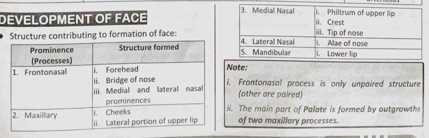 knowt flashcard image