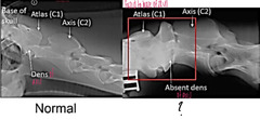 <p>What is this showing?</p>