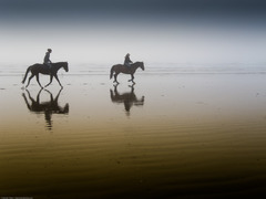 <p>to go horseback riding</p>