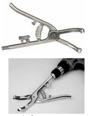 <p>What is this instrument?</p>