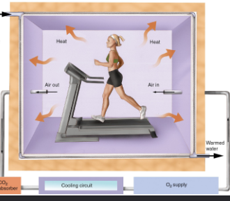 <p>heat production increase with energy production </p><ul><li><p>can be measured in a calorimeter </p></li><li><p>water flow through walls </p></li><li><p>body temperature increases water temperature </p></li></ul><p></p>