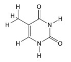 <p><span>What structure is this? Purine or Pyrimidine?</span></p>