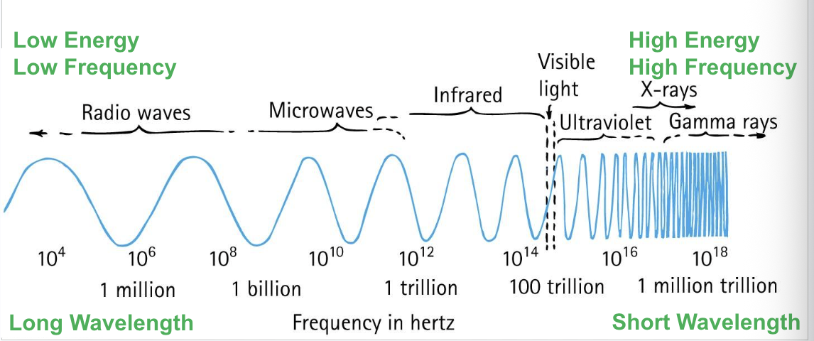 <p>Radio waves, microwaves, infrared, (visible light), Ultraviolet, X-rays, gamma rays</p>