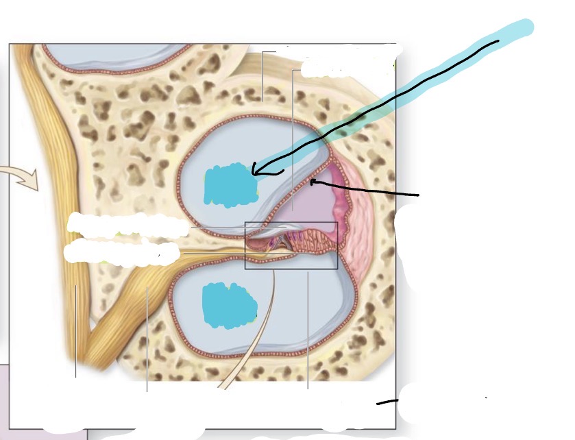 <p>what is this </p>