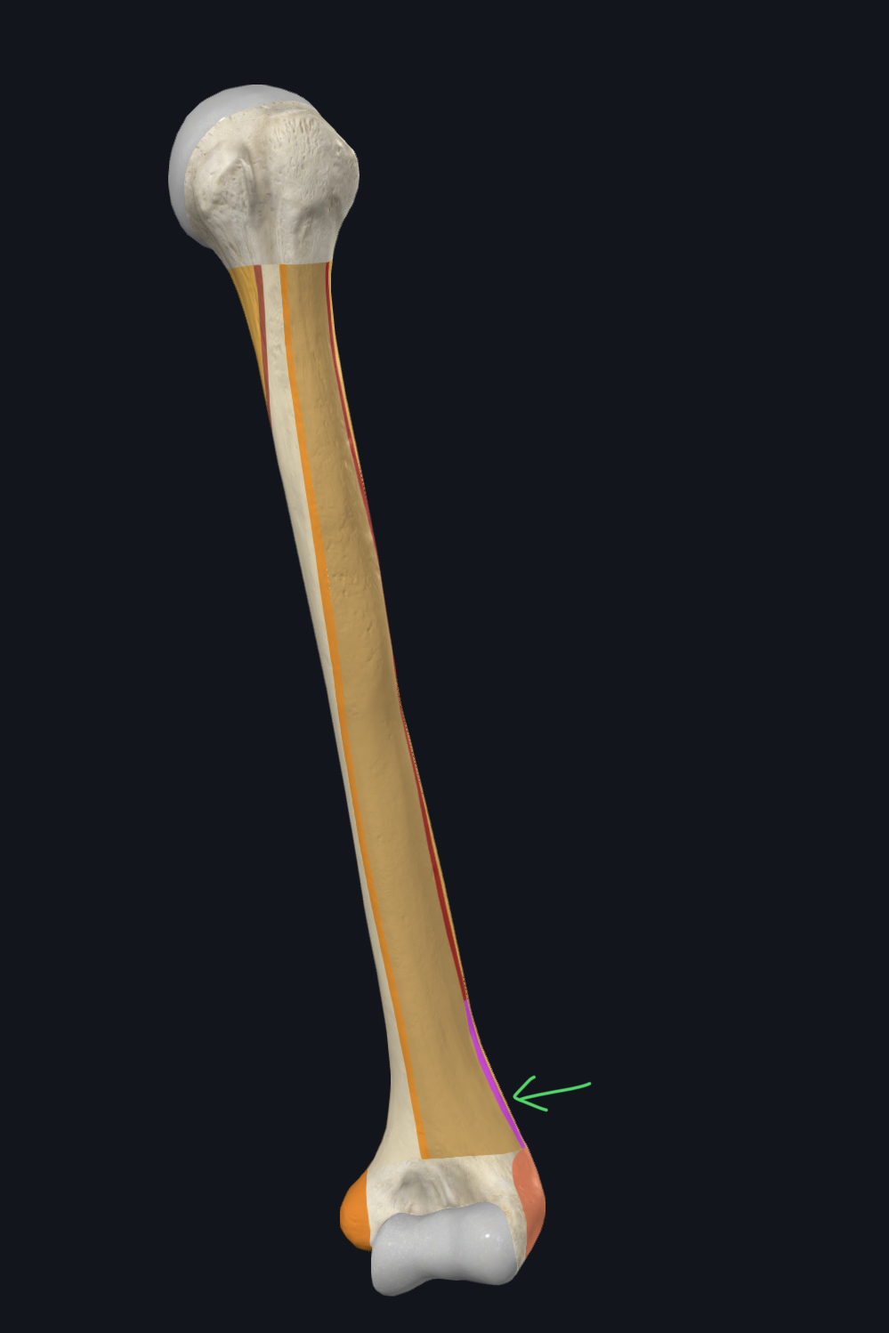 <p>What is the arrow pointing at?</p>