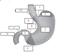 <p>3</p>