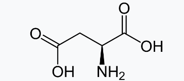 <p><strong>Aspartate (Asp, D)</strong></p><p>Aspartate (D) -> First alphabetically by name, gets the first letter alphabetically (D).</p><ul><li><p>Side chain: -CH₂-COO⁻</p></li><li><p>Description: A 1-carbon spacer ending in a negatively charged carboxylate group.</p></li></ul><p>Negatively Charged Side Chains (Acidic) & Their Amide Derivatives</p>