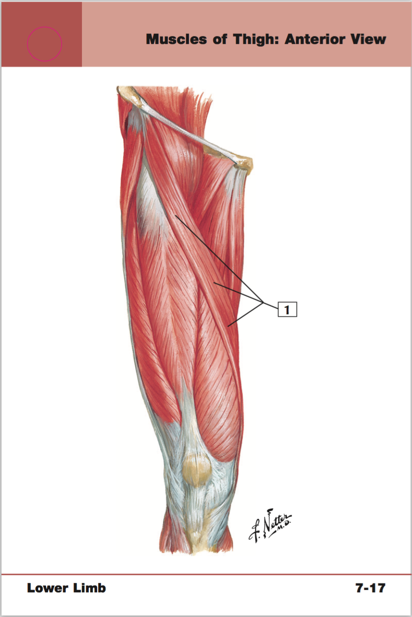 <p>+origin/insertion</p>