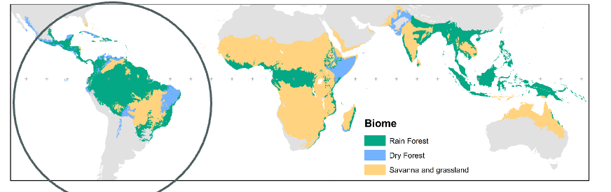 <p>Focus on south America:</p>