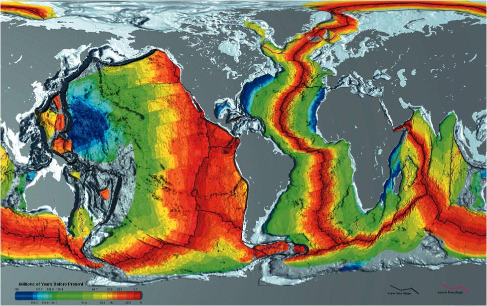 <p>How do plate movements relate to the creation and destruction of ocean floors?</p>