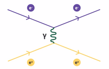 <p>the electron and positron’s charges mean that they interact with electromagnetic force, which involves the exchange of a photon</p>