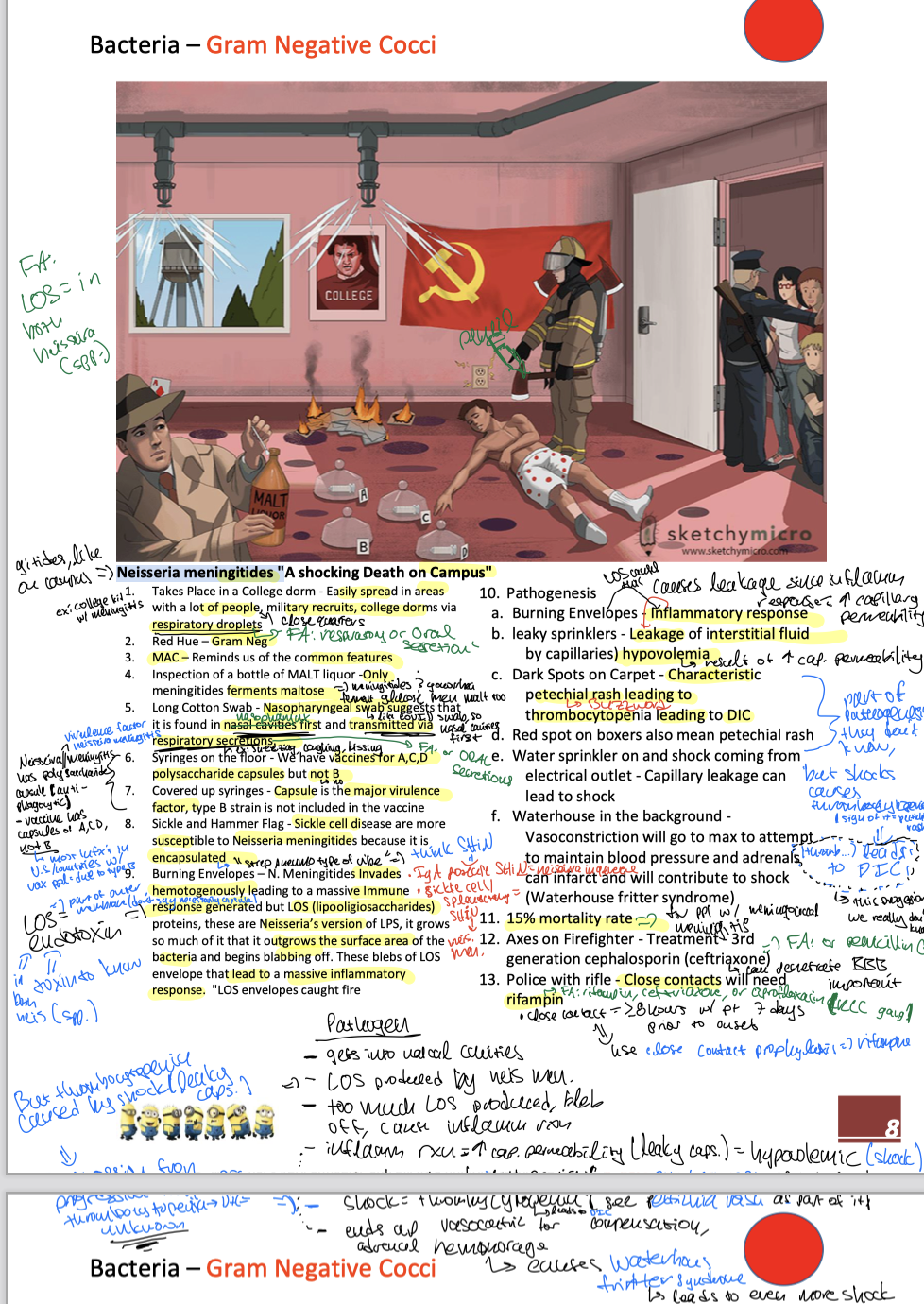 knowt flashcard image