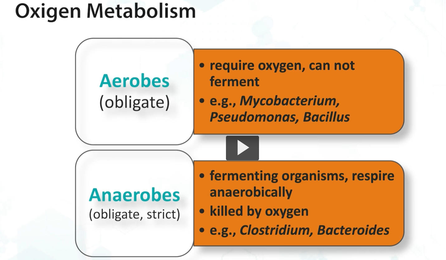 <p><u>oxygen metabolism</u></p><p>faculative anaerobes can respire when there is oxygen AND FERMENT in the ABSENCE of oxygen. </p>