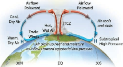 <p>A large-scale <strong>atmospheric circulation pattern near the equator</strong> that influences global <strong>temperature and precipitation patterns</strong>.</p><p> Key Points </p><ol><li><p><strong>Warm air rises at the equator</strong>, carrying moisture.</p></li><li><p>As the air rises and cools, <strong>moisture falls as heavy rainfall</strong> (tropical climates).</p></li><li><p>The air then <strong>moves north and south at high altitude</strong>.</p></li><li><p>It <strong>sinks in the mid-latitudes</strong>, becoming <strong>dry</strong> and creating many desert regions.</p></li></ol><p><strong>Hadley cells move warm, moist air upward at the equator (causing rain) and bring dry air downward in the mid-latitudes (often causing deserts).</strong></p><p></p><p>Hadley cells form because the equator receives the most sunlight, heating the air and causing warm, moist air to rise. As the air rises, it cools and releases moisture as rain in the tropics. The air then moves north and south at high altitude, eventually cooling and sinking around the mid-latitudes (~30°). As the air sinks it warms and becomes dry, creating desert climates. This circulation pattern creates two Hadley cells (one in each hemisphere) and causes wet climates near the equator and dry climates in the subtropics.</p>