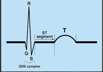 <p>fourth interval</p><p>Ventricles fully depolarized → time during which ventricles are contracting and emptying</p>