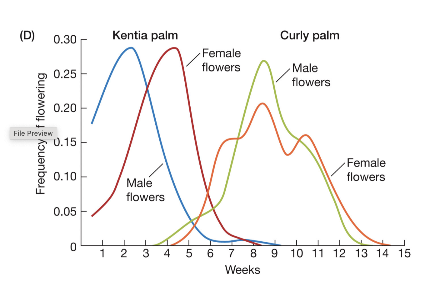<p>Forseriana (kentia palm) grew in volcanic basalt soil</p><p>while Howea belmoreana (curly palm)  grow in calcareous soil.</p><p>DIFFERENT CLINES: belmoranea typically lower cause calcerous soil is exposed when the sea level decreases. </p><p>ALSO different flowering times</p>