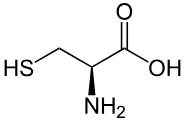 <p>What amino acid is this (including abbreviation)? How is it categorized?</p>