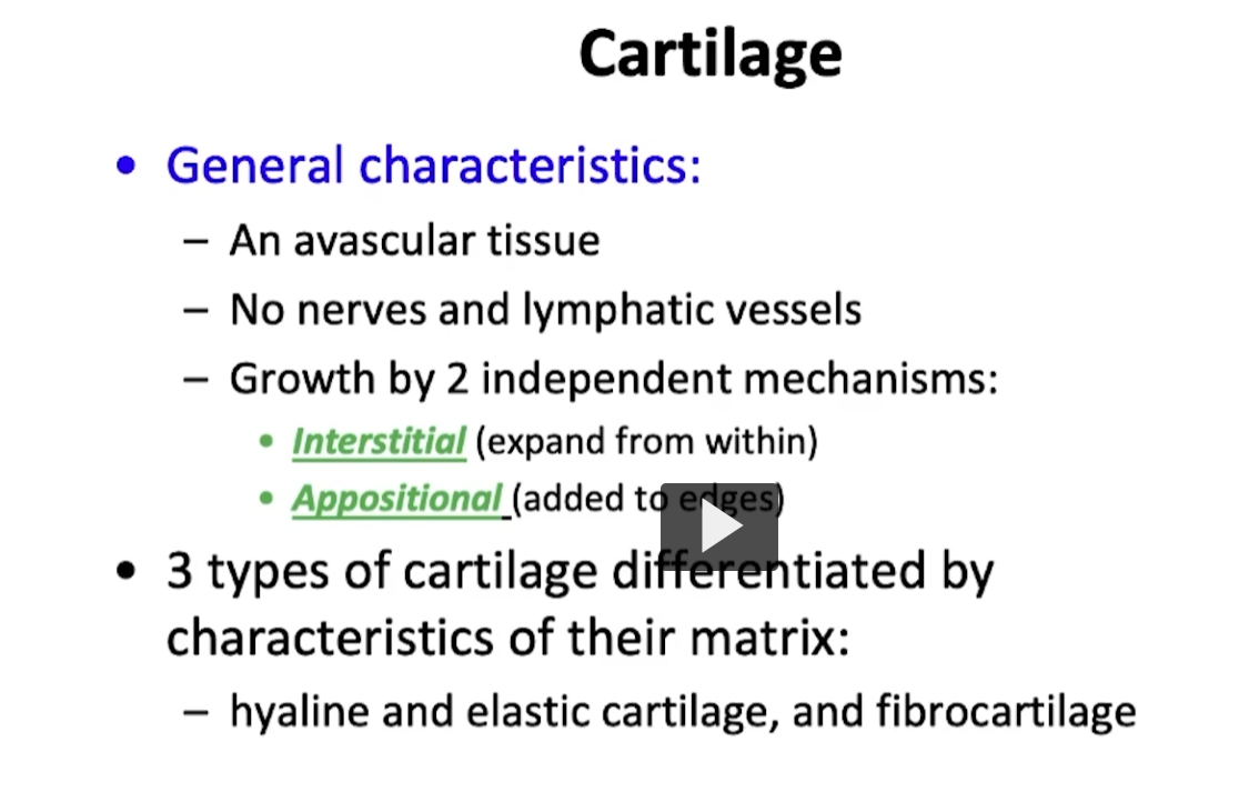 <p>Cartilage is an avascular tissue without nerves or lymphatic vessels. The curious thing about cartilage is that it has two mechanisms it uses to reproduce itself. </p><p>What is known as the interstitial mechanism and the appositional mechanism. It’s interesting because cartilage is a specialized connective tissue. Remember that connective tissue is characterized by plenty of vascularity and innervation, and cartilage does not have that. </p><p>Very similar to the characteristics of epithelial tissue, cartilage can be divided into three modalities.  </p>
