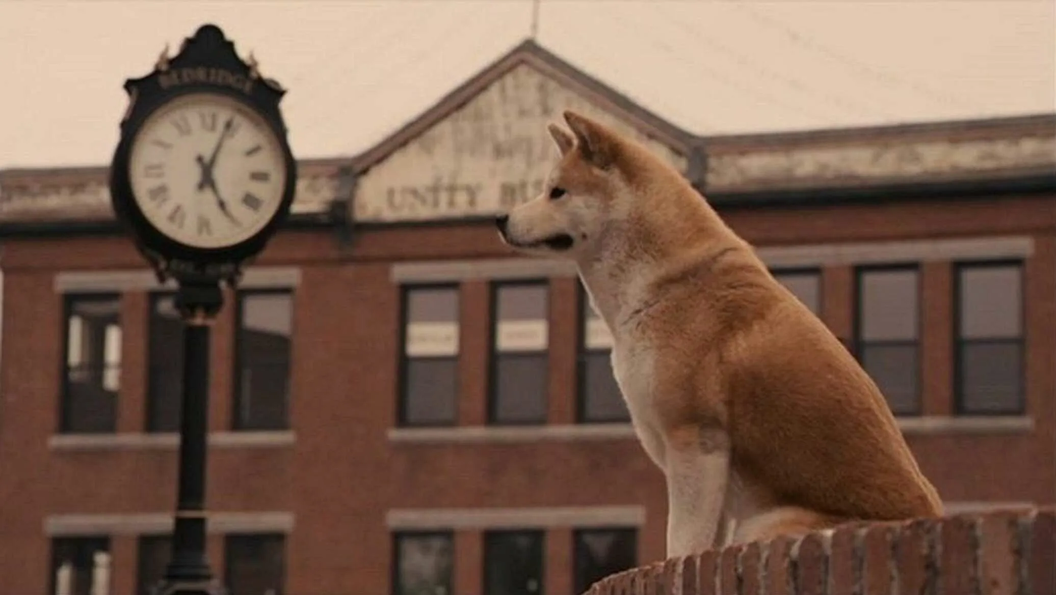 <p>loyal ///// loyal dog ///// A loyal partner is hard to find.</p>
