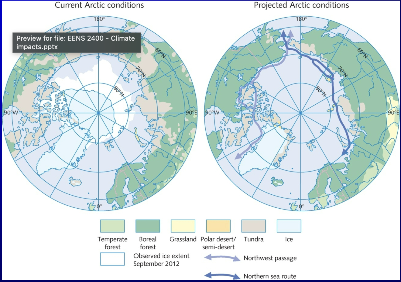 <ul><li><p>loss of tundra and polar desert, expected to shrink and be overtaken by grasslands and forests</p></li><li><p>ice reduction the white ice region at the pole shows a significant decrease in the projected map compared to the current map </p></li><li><p>biome migration along with the migration of individual species occurs both latitudinally and altitudinally it is often hampered by toehr human caused barriers </p></li></ul><p></p>