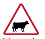 <p>Animal Crossing Ahead</p>