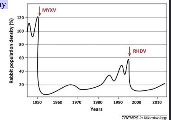 <p><span style="color: rgb(255, 255, 255);">Myxoma Virus and Rabbits</span></p><p><span style="color: rgb(255, 255, 255);">1950s: Myxoma virus (MYXV) introduced to kill invasive rabbits<br>• ~99% initial mortality<br>• Rabbits rapidly evolved partial RESISTANCE (only ~60% mortality)<br>• Rabbits became abundant again</span></p><p></p><p><span style="color: rgb(255, 255, 255);">1995: Rabbit Hemorrhagic Disease Virus (RHDV) introduced<br>• New virus, different physiological pathway<br>• RESET the host-parasite arms race<br>• High rabbit mortality returns<br></span></p><p><span style="color: rgb(255, 255, 255);">Ongoing arms race:<br>• Rabbits evolving resistance again<br>• Myxoma virus evolving higher virulence<br>• Continuous back-and-forth ADAPTATION</span></p>