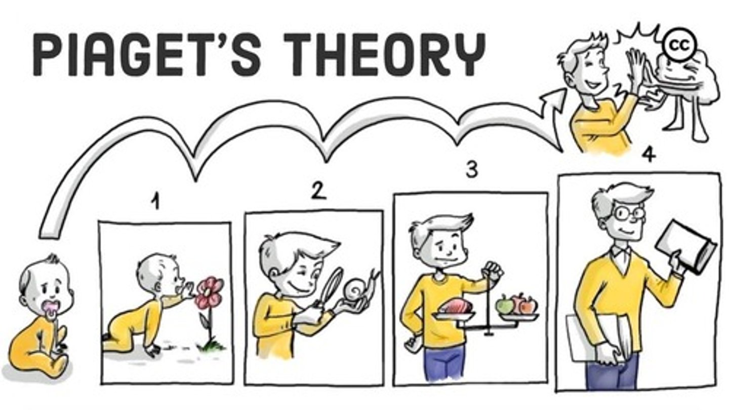 <p>- According to Piaget, children are "little scientists" who actively build their understanding of the world.</p><p>- is a developmental perspective—most famously championed by Jean Piaget—which asserts that human intelligence and thinking abilities develop through a series of distinct, qualitative stages.</p><p>- viewing the individual as an active explorer who constructs their own understanding of the world.</p>