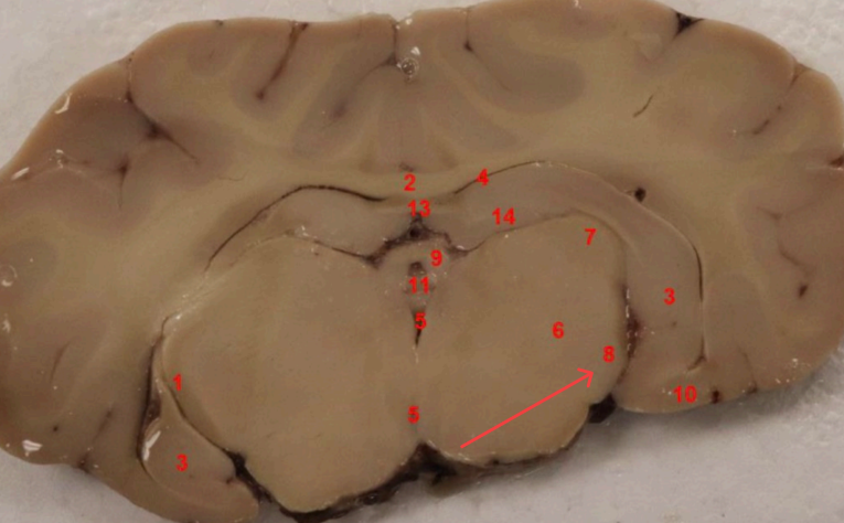 <p>what is this </p>