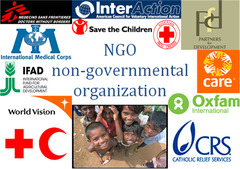 <p>Organizations that are not established or associated with any specific organizations. They may be recognized, however, they run on their own. Examples are Green Peace and Amnesty International.</p>