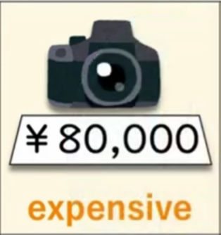 <p>Expensive/High</p>