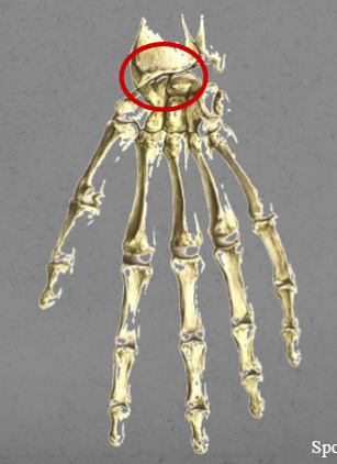 <p>What is this?</p>