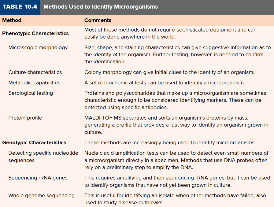<p>Classification was historically based on physiology (phenotype) and</p><p><mark data-color="purple" style="background-color: purple; color: inherit;">[__]</mark>: <mark data-color="yellow" style="background-color: yellow; color: inherit;">size, shape, staining characteristics, and metabolic capabilities</mark></p><p></p><p></p><p><u><mark data-color="yellow" style="background-color: yellow; color: inherit;">Current techniques are more accurate with </mark></u><strong><u><mark data-color="yellow" style="background-color: yellow; color: inherit;">molecular techniques</mark></u></strong></p><ul><li><p>comparison of molecular sequences of DNA, RNA, and protein</p></li><li><p>accurate construction of<strong><mark data-color="purple" style="background-color: purple; color: inherit;"> phylogenetic tree</mark></strong>: <mark data-color="yellow" style="background-color: yellow; color: inherit;">tree that shows divergence and relationships of organisms</mark></p></li><li><p>transfer mechanism of prokaryotes</p><ul><li><p>horizontal and lateral transfer of DNA</p></li></ul></li></ul><p></p>