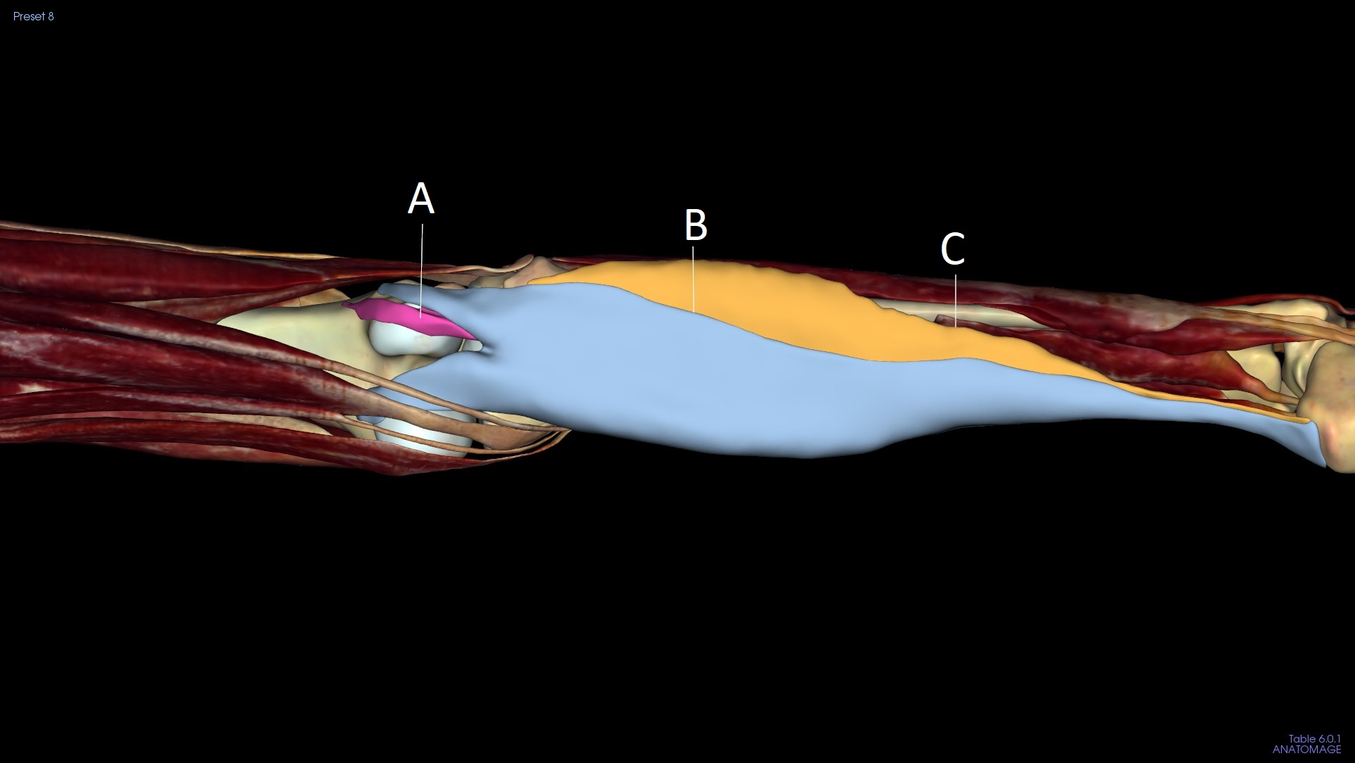 <p>A</p>
