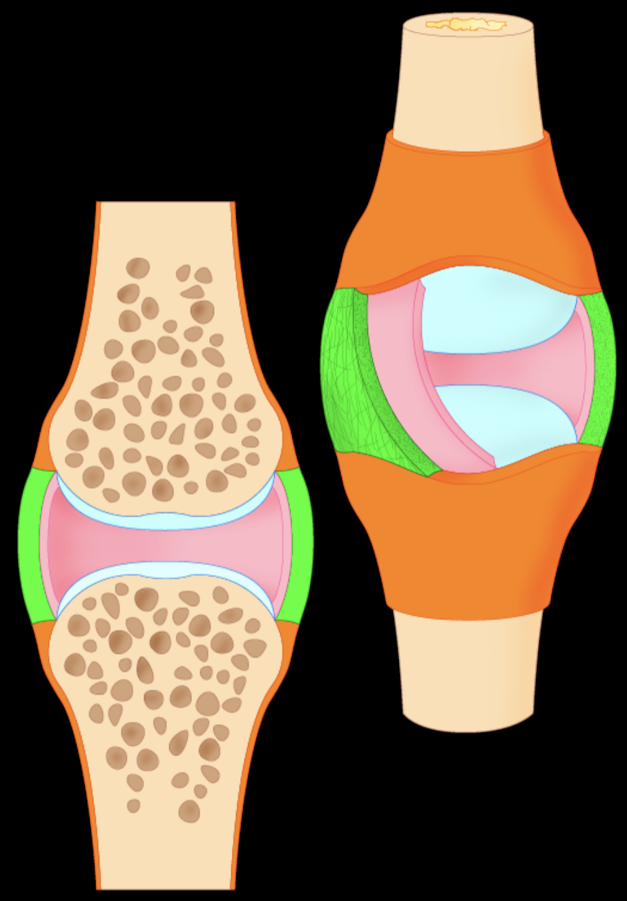 <p>Label each piece</p>
